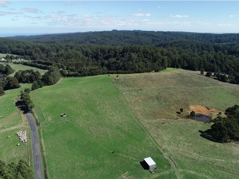 320 Phillips Track, Ferguson VIC 3237