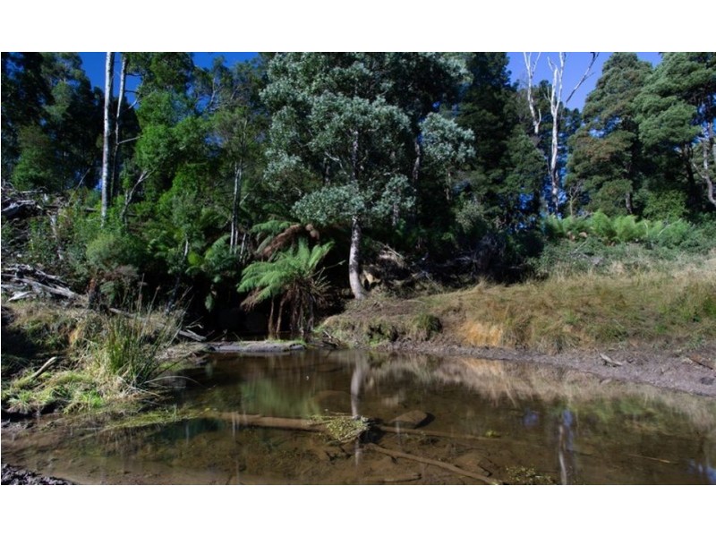 320 Phillips Track, Ferguson VIC 3237
