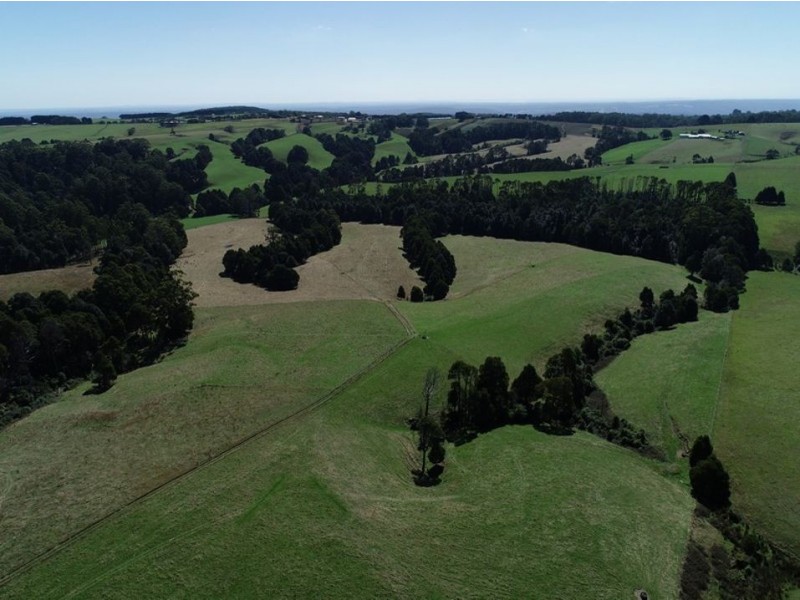 320 Phillips Track, Ferguson VIC 3237