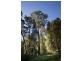 320 Phillips Track, Ferguson VIC 3237