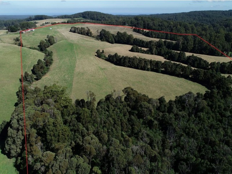 320 Phillips Track, Ferguson VIC 3237