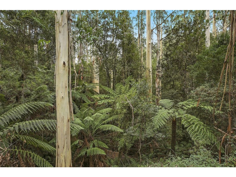 3029 Colac-Forrest Road, Forrest VIC 3236