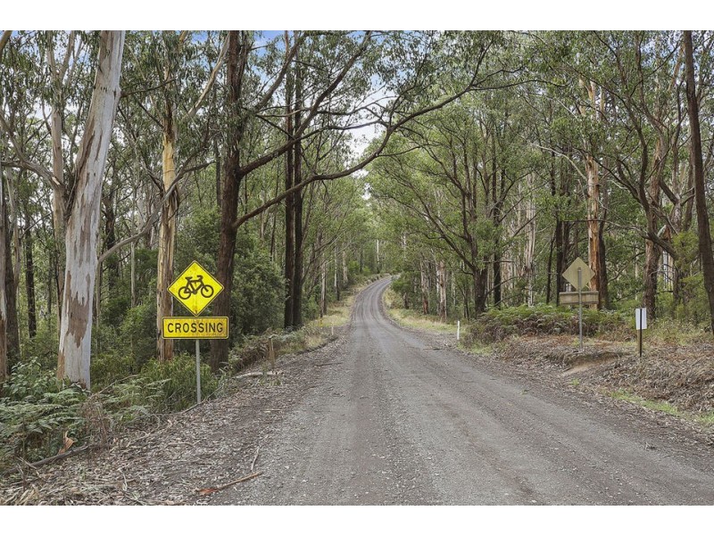 3029 Colac-Forrest Road, Forrest VIC 3236