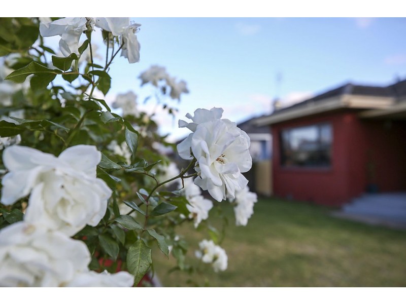 71 Bruce Street, Colac VIC 3250