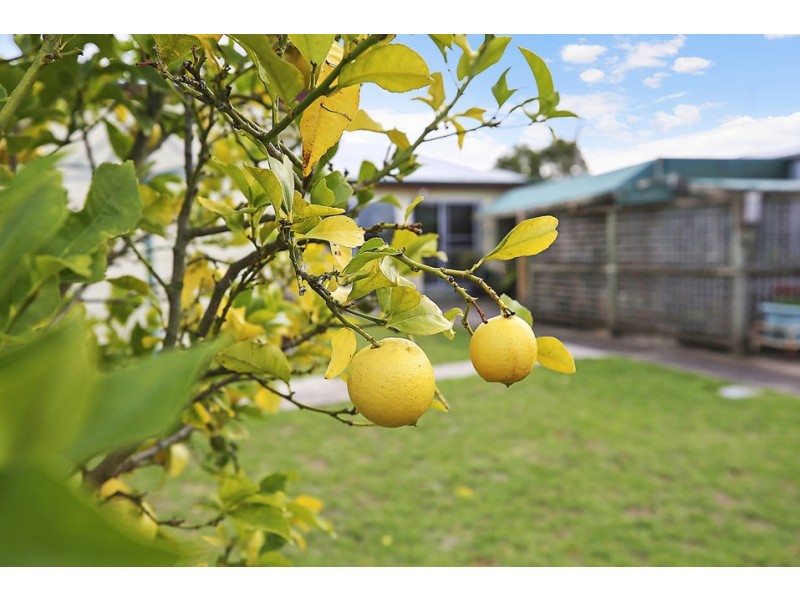 16 Sinclair Street, Colac VIC 3250