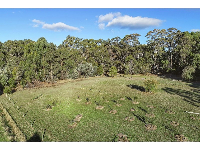 85 Bushbys Road, Barongarook VIC 3249