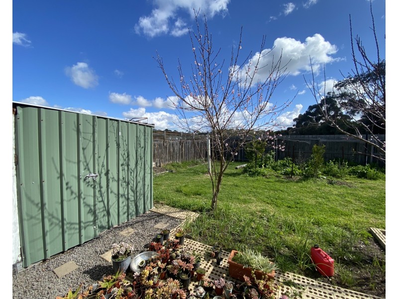 4 Jordyn Cl, Winchelsea VIC 3241