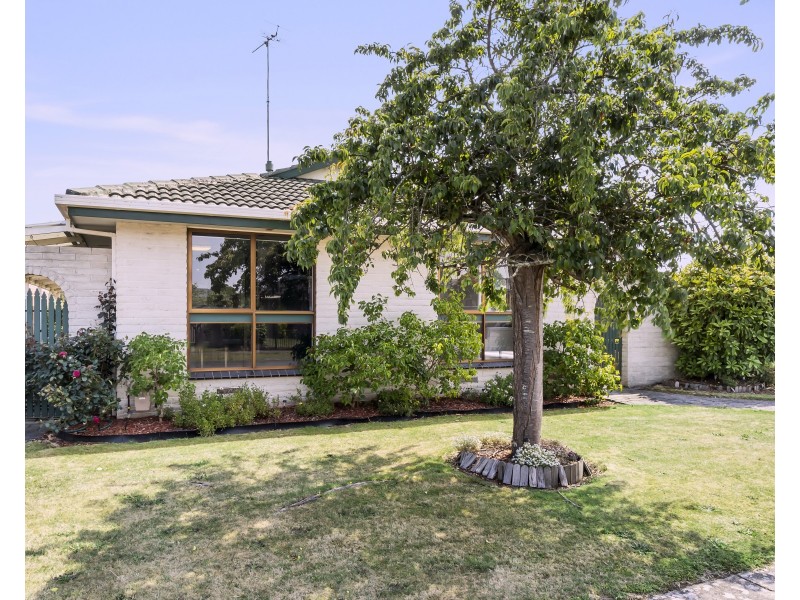 7 Bryan Ave, Colac VIC 3250
