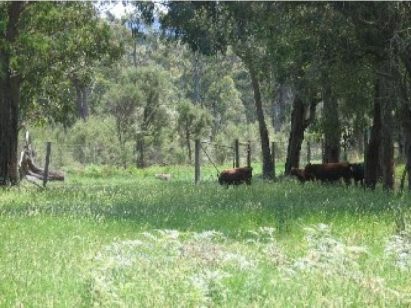 115 Ridge Road, Kawarren VIC 3249