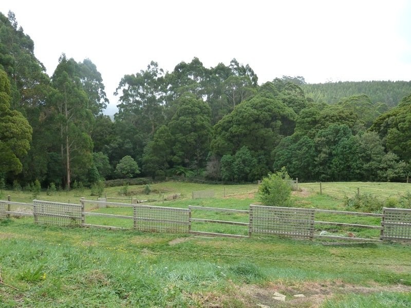 4 College Drive, Lavers Hill VIC 3238