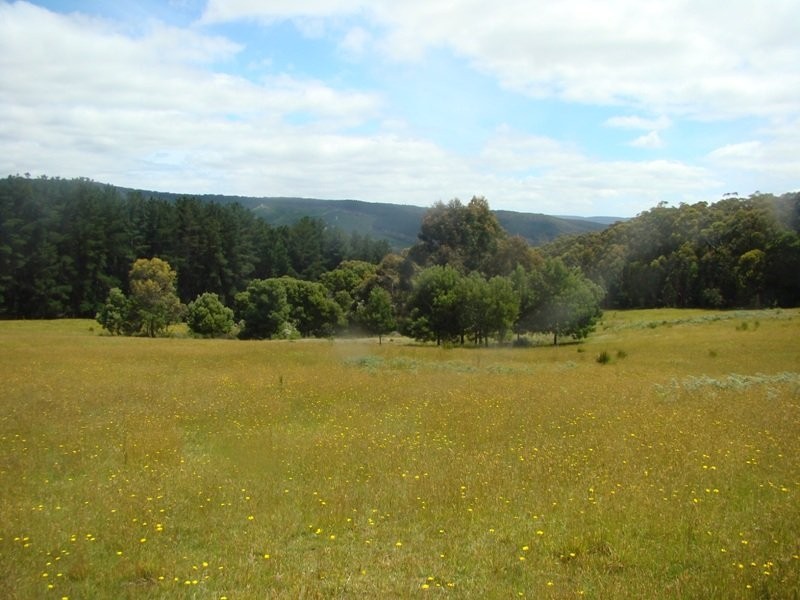 455 Escarpment Road, Gellibrand VIC 3239