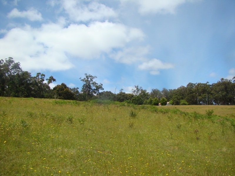 455 Escarpment Road, Gellibrand VIC 3239