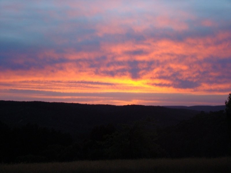 455 Escarpment Road, Gellibrand VIC 3239