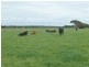 20 Murrays Road, Pirron Yallock VIC 3249
