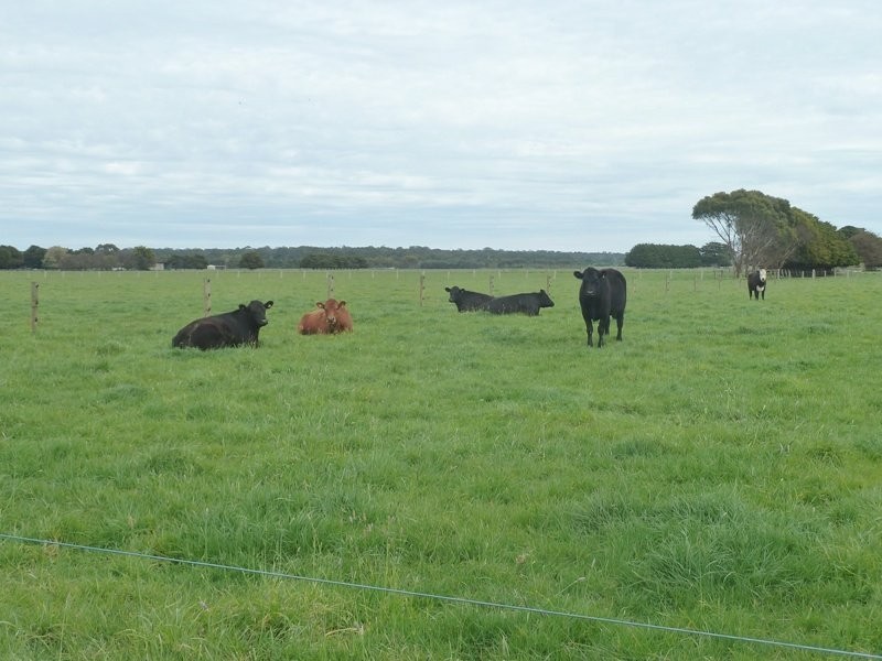 20 Murrays Road, Pirron Yallock VIC 3249