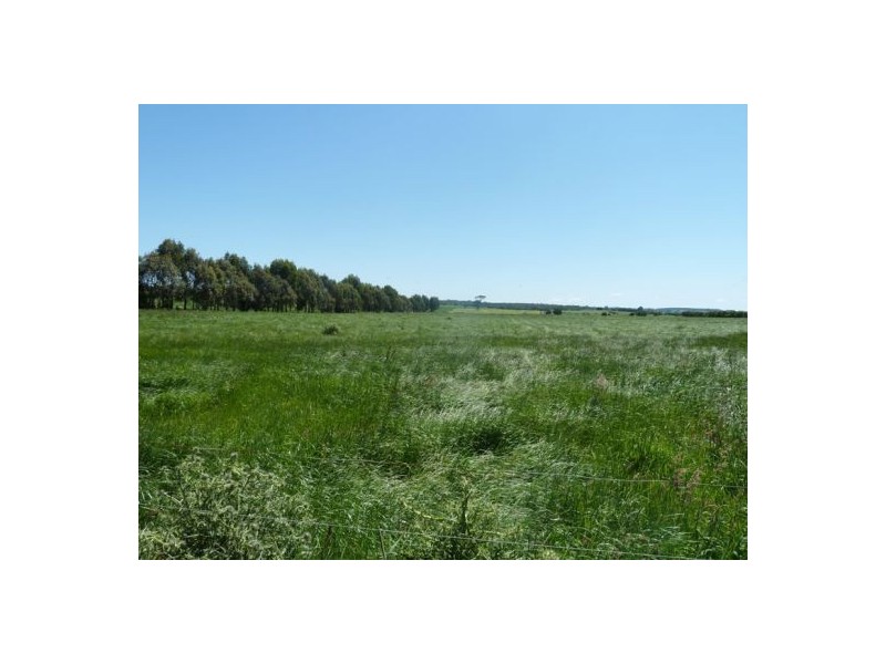 2285 Colac Forrest Road, Gerangamete VIC 3243