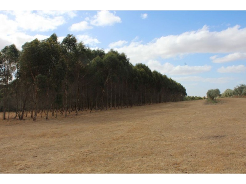 245 Deepdene Road, Birregurra VIC 3242