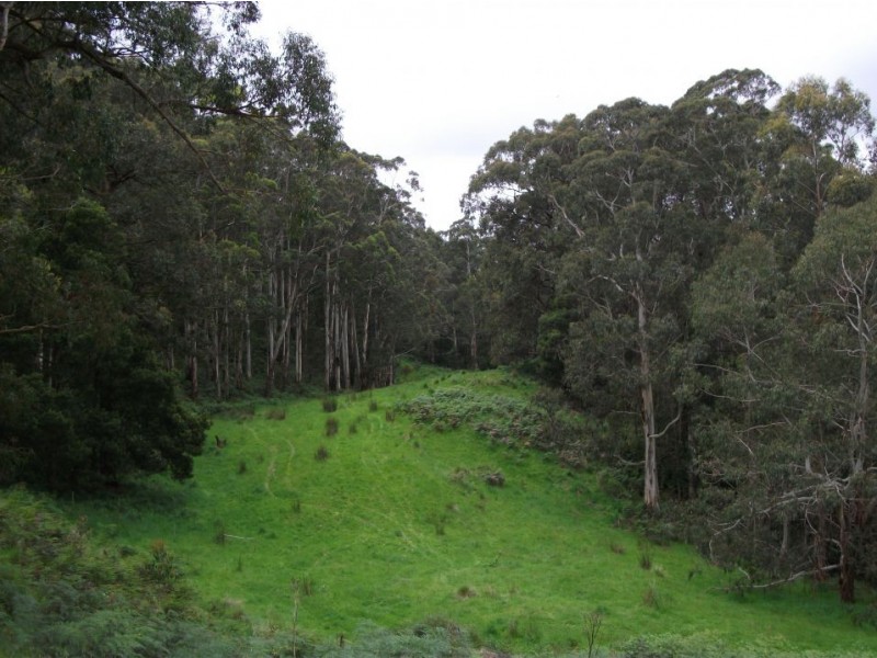 380 Frys Road, Kawarren VIC 3249