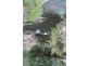 380 Frys Road, Kawarren VIC 3249