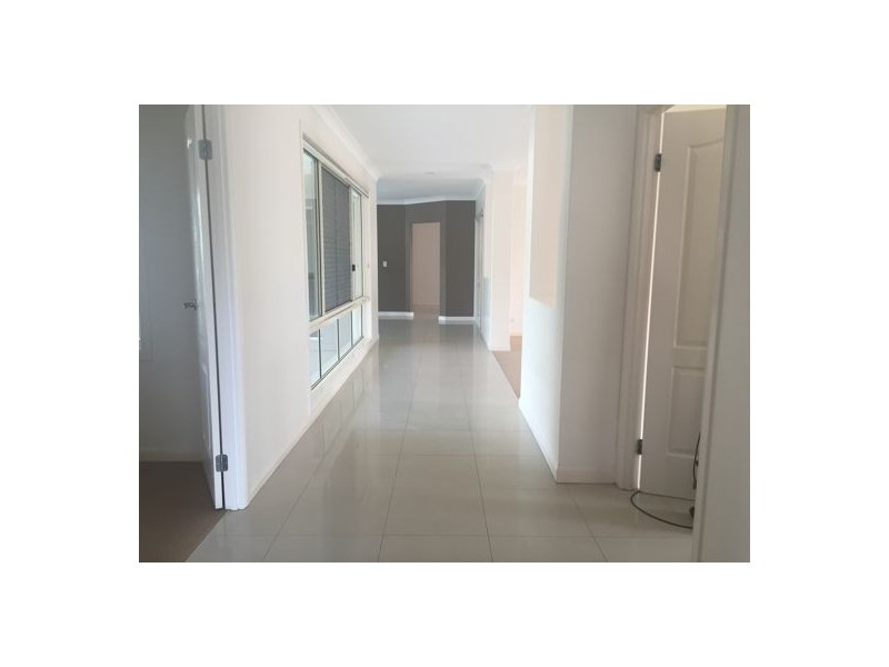 3 Orchid Tree, Robina QLD 4226