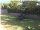 18 Nardoo Street, Robina QLD 4226