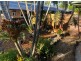 64 THORNGATE DR, Robina QLD 4226
