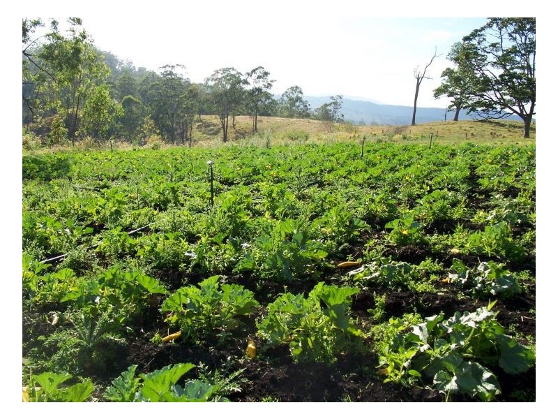 148 Newtons Road, Kyogle NSW 2474