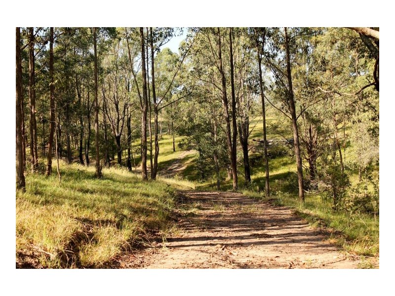 1391 Afterlee Road, Kyogle NSW 2474