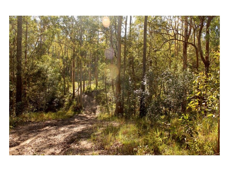 1391 Afterlee Road, Kyogle NSW 2474