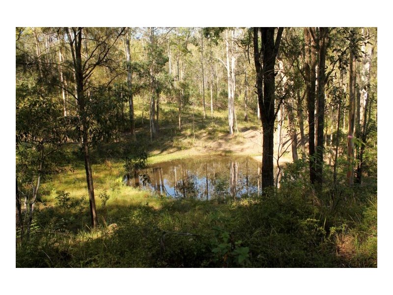 1391 Afterlee Road, Kyogle NSW 2474