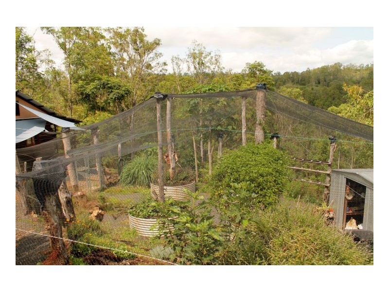 Lot 16 – 321 Blackhorse Creek Road, Kyogle NSW 2474