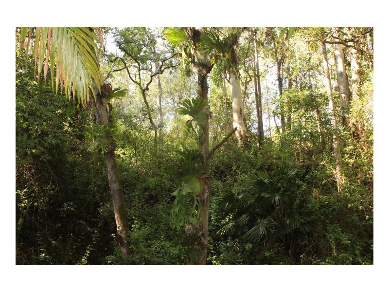 0 Gesar Springs, Kyogle NSW 2474