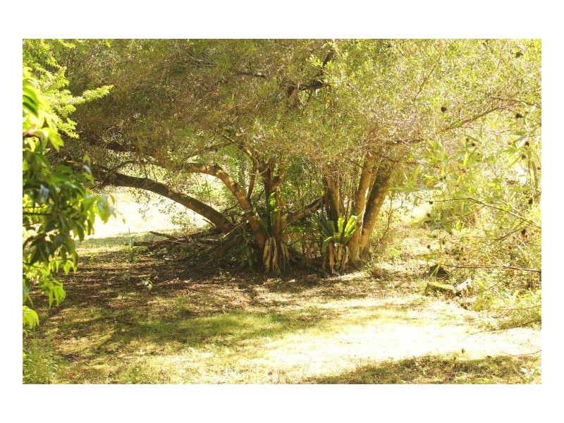 0 Gesar Springs, Kyogle NSW 2474