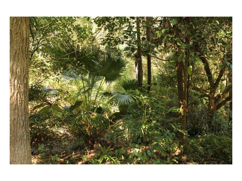 0 Gesar Springs, Kyogle NSW 2474