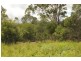 153 Stringybark Lane, Kyogle NSW 2474