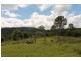 153 Stringybark Lane, Kyogle NSW 2474