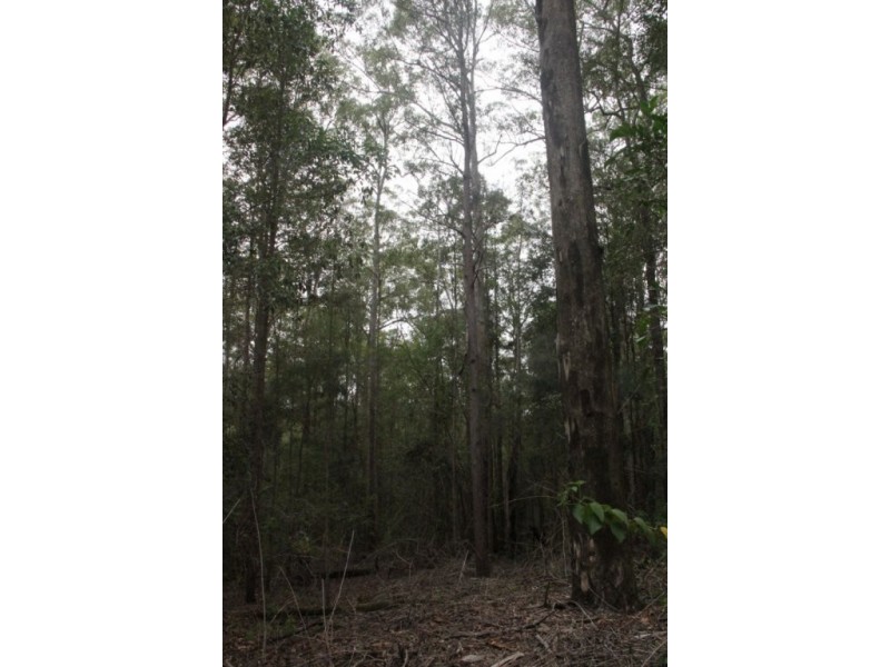 153 Stringybark Lane, Kyogle NSW 2474