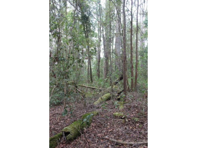 153 Stringybark Lane, Kyogle NSW 2474