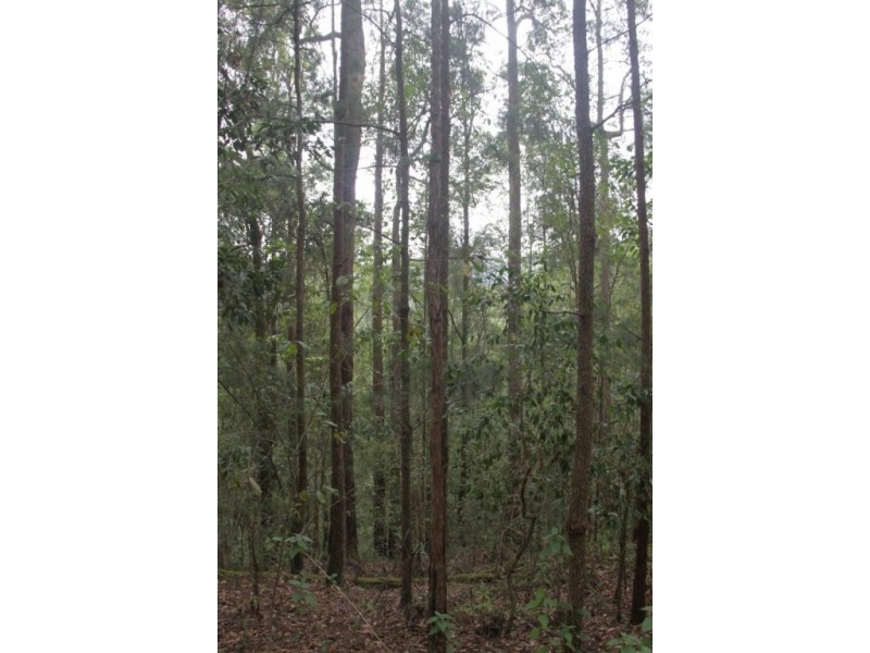 153 Stringybark Lane, Kyogle NSW 2474