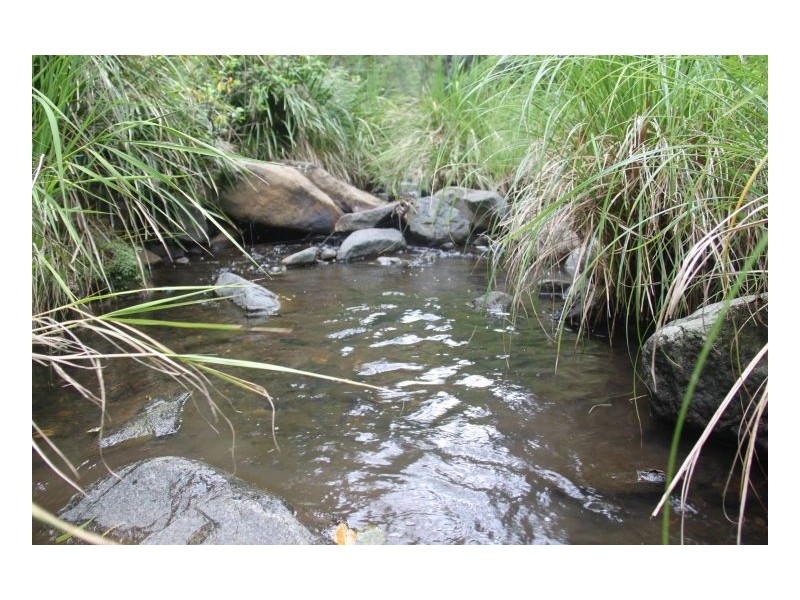 153 Stringybark Lane, Kyogle NSW 2474