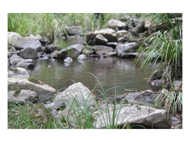 153 Stringybark Lane, Kyogle NSW 2474