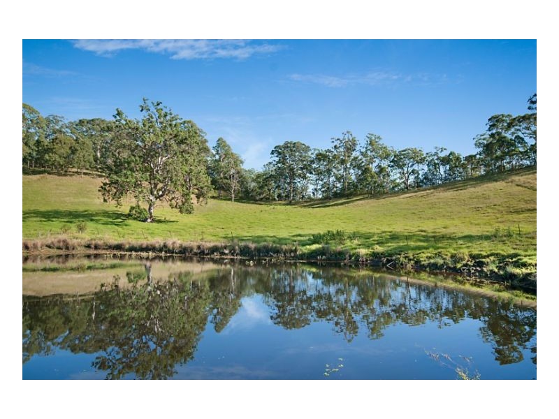 803 Homeleigh Road, Kyogle NSW 2474