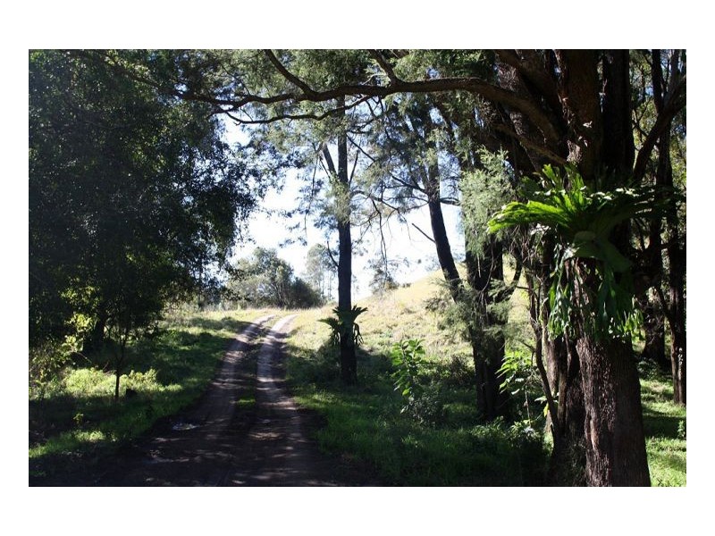 830 Gradys Creek Road, Kyogle NSW 2474