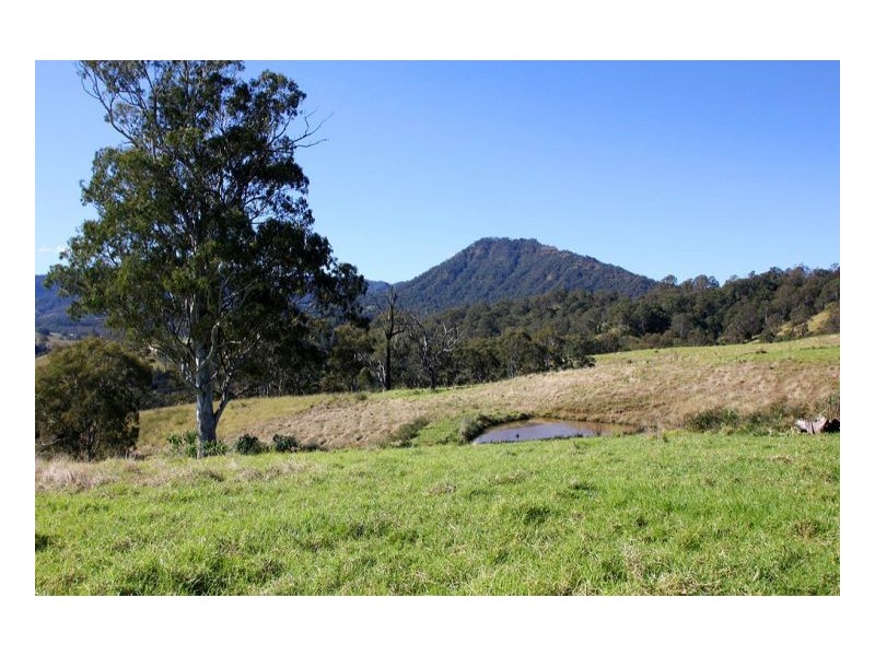 830 Gradys Creek Road, Kyogle NSW 2474