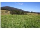 830 Gradys Creek Road, Kyogle NSW 2474