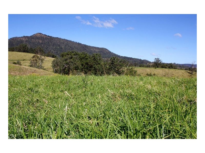 830 Gradys Creek Road, Kyogle NSW 2474