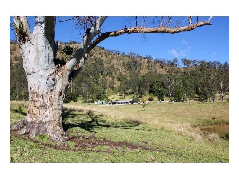 830 Gradys Creek Road, Kyogle NSW 2474
