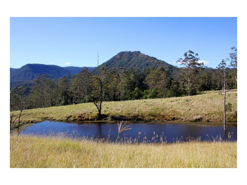 830 Gradys Creek Road, Kyogle NSW 2474