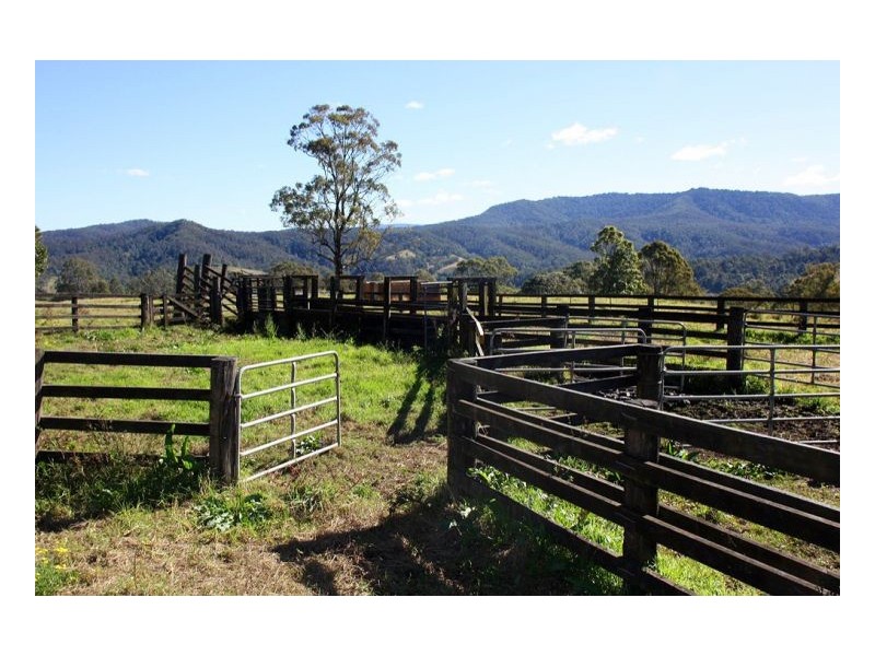 830 Gradys Creek Road, Kyogle NSW 2474