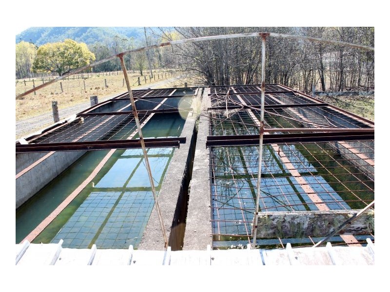 23 Old Mill Road, Kyogle NSW 2474